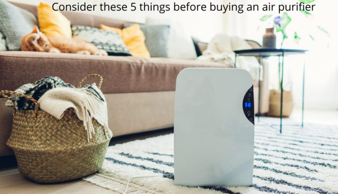 Consider these 5 things before buying an air purifier-1f88129a